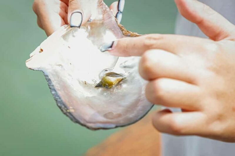Phuket: Intara Farm & Pearl Factory Half-Day Tour with Lunch - Exploring the Marine Life