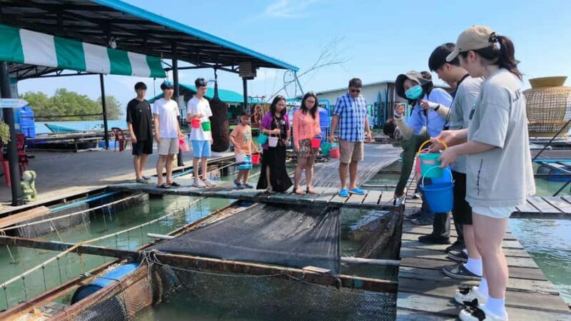 Phuket: Intara Farm & Pearl Factory Half-Day Tour with Lunch - Cooking and Tasting Local Desserts