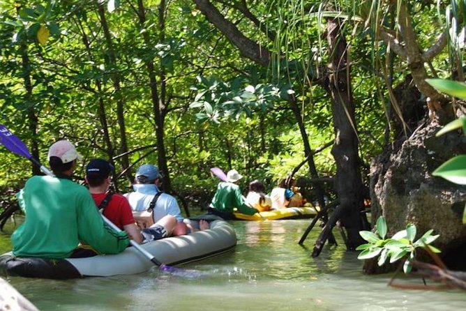 Phuket James Bond Island Sea Canoe Tour by Longtail Boat With Lunch (Sha Plus) - Canoeing Through Mangroves