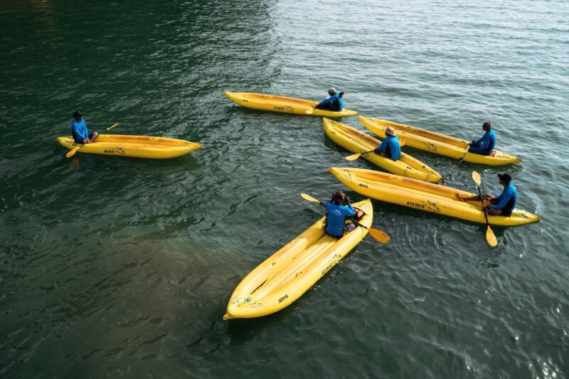 Phuket: James Bond Island Tour With Sea Cave Kayaking - Kayaking and Wildlife Viewing