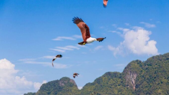 Phuket: James Bond Sea Canoeing and Speedboat Tour W/ Lunch - Buffet Lunch Options