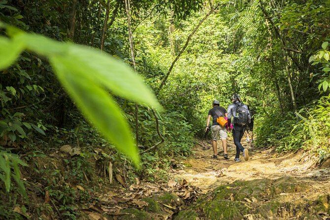 Phuket Jungle Trekking Experience at Khao Phra Taew National Park - Meeting and Pickup Details
