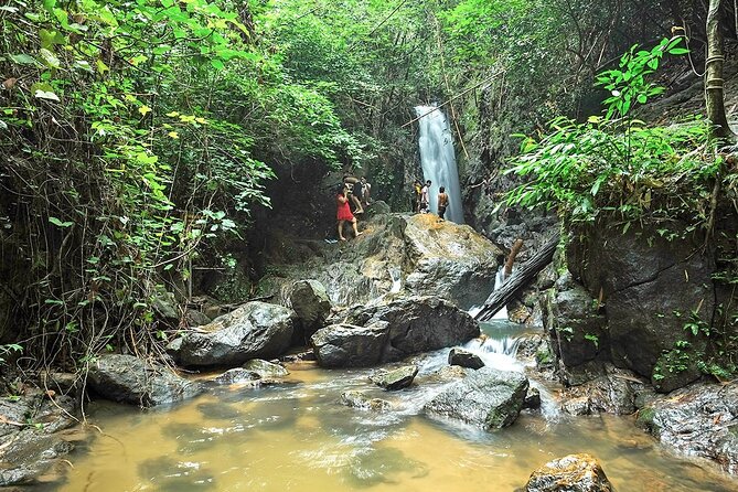 Phuket Jungle Trekking Experience at Khao Phra Taew National Park - Wildlife Sightings