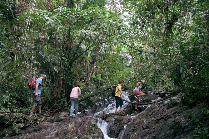 Phuket Jungle Trekking Experience at Khao Phra Taew National Park - Cancellation Policy