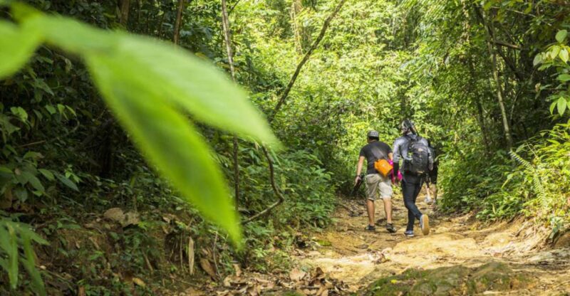 Phuket: Jungle Trekking Experience at Khao Phra Taew - Itinerary and Highlights