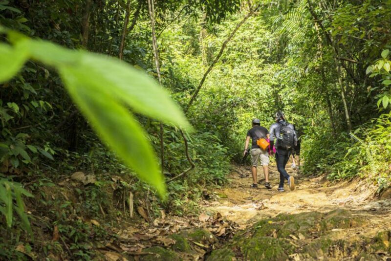 Phuket: Jungle Trekking Experience at Khao Phra Taew - Inclusions and Logistics