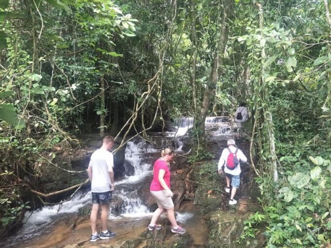 Phuket: Jungle Trekking Experience at Khao Phra Taew - Tour Duration and Group Size