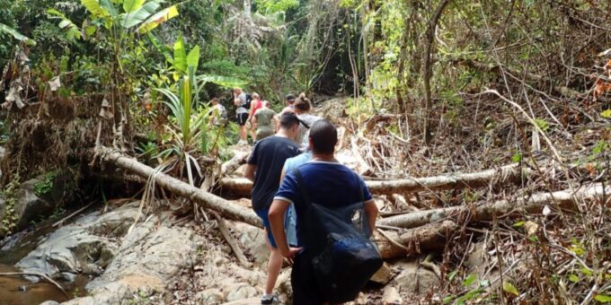 Phuket: Jungle Trekking Experience at Khao Phra Taew - Transportation and Meeting Point