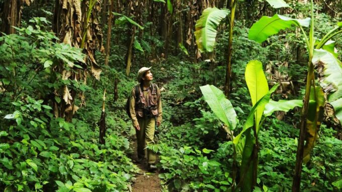 Phuket: Jungle Trekking Experience at Khao Phra Taew - Frequently Asked Questions