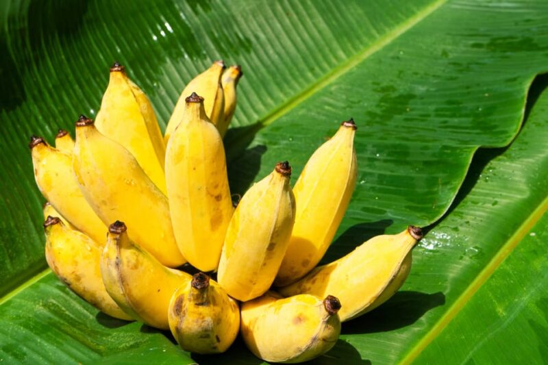 Phuket: KhaoLak Thai Food Cooking Class & ATV Adventure Tour - Important Information