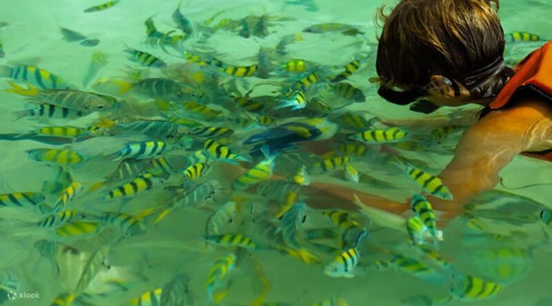 Phuket: Koh Hey Banana Beach - Key Points