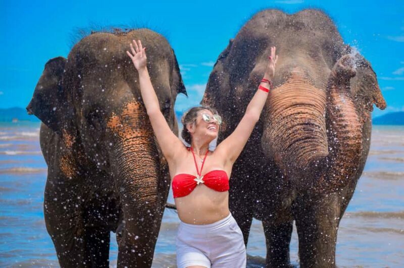 Phuket: Lily Elephant Half day Trip on the Beach with lunch - Key Points