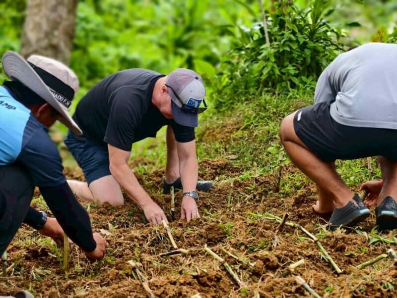 Phuket: Lily Elephant Half day Trip on the Beach with lunch - FAQs
