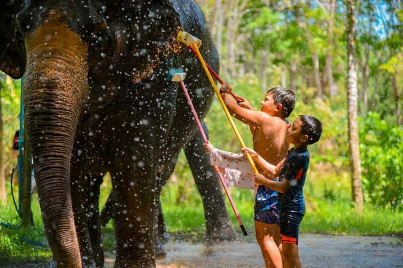 Phuket: Lily Elephant Half day Trip on the Beach with lunch - Final Thoughts