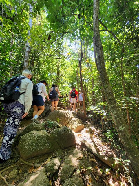 Phuket Lookouts Tour With Lunch at Organic Farm - Key Points