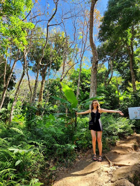 Phuket Lookouts Tour With Lunch at Organic Farm - Itinerary and Highlights
