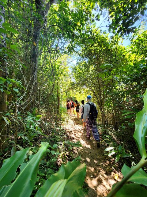 Phuket Lookouts Tour With Lunch at Organic Farm - Recap