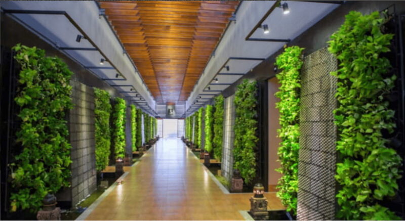 Phuket: Maha Cheeva Thai Massage: E-Voucher - Key Points