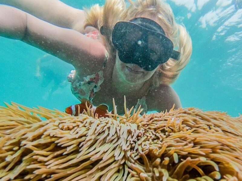 Phuket: Maya Bay, Phi Phi, and Bamboo Island Full-Day Trip - Important Notices and Restrictions