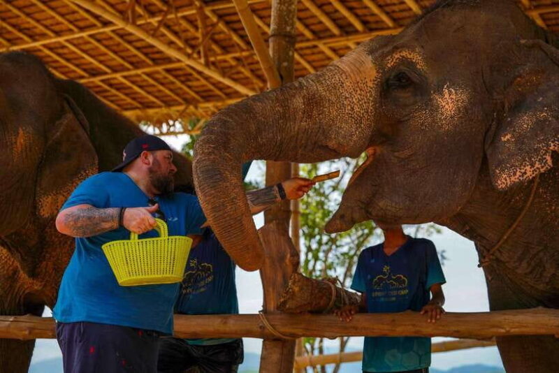 Phuket: Meet Feed & Relax With Elephant - Pricing and Reservation Details