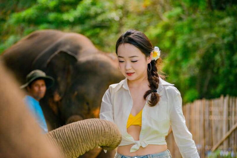 Phuket: Meet Feed & Relax With Elephant - Customer Feedback
