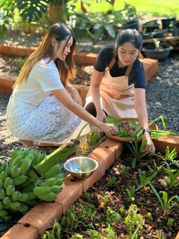 Phuket: Naidee Thai Cooking Class with Chef Ern - Final Thoughts