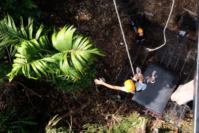 Phuket: Paradise Jungle Zipline Adventure - Pricing and Savings