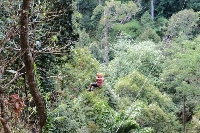 Phuket: Paradise Jungle Zipline Adventure - Booking and Cancellation