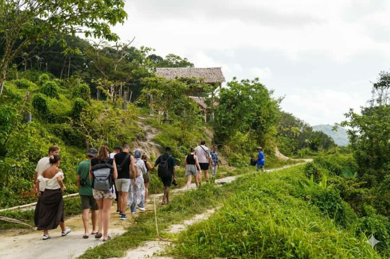 Phuket: Patong Ethical Elephant Sanctuary Tour with Transfer - Key Points