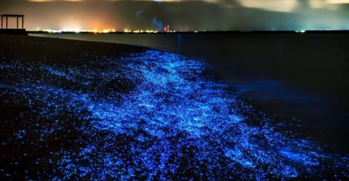 Phuket: Phang Nga Bay Bioluminescent Plankton and Sea Canoes - Safety and Equipment