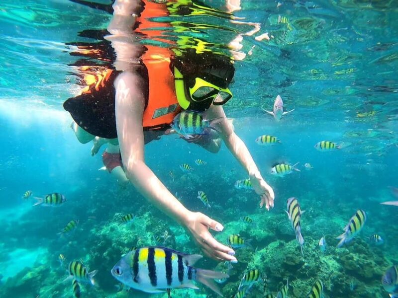 Phuket: Phi Phi Islands and Maya Bay Day Trip With Lunch - Khai Island