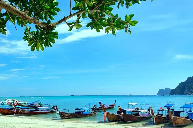 Phuket: Phi Phi Islands by Ferry With Snorkeling and Lunch - Customer Reviews