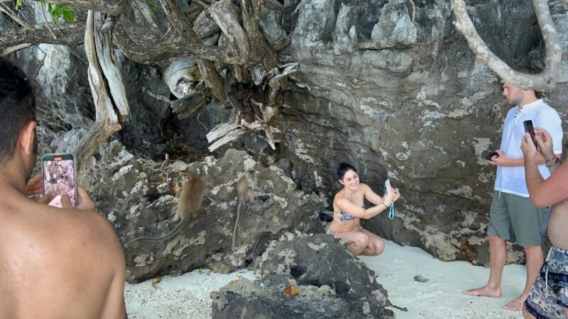 Phuket: Phi Phi Maya Bamboo Island By Speed Catamaran - Itinerary and Activities