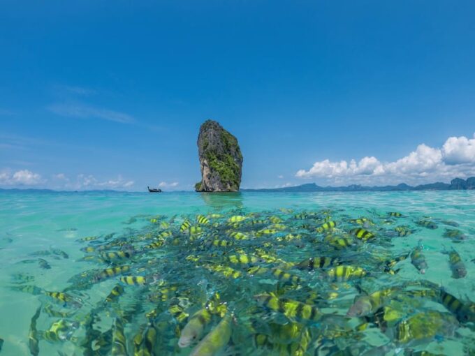 Phuket : Phi Phi Maya Bay & 3 Islands 7 Points by Speedboat - Frequently Asked Questions