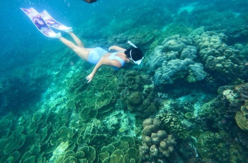 Phuket: Phi Phi, Maya, Khai, or Bamboo Island Day Trip - Key Points