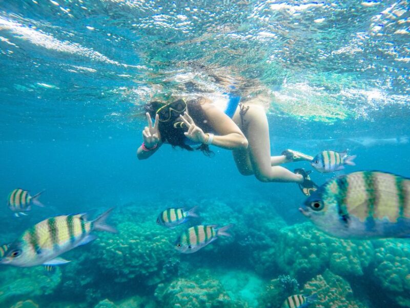 Phuket: Phi Phi Sunrise Boat Tour to Bamboo and Khai Island - Highlights of the Itinerary
