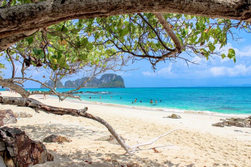 Phuket: Phi Phi Sunrise Boat Tour to Bamboo and Khai Island - Suitability and Restrictions