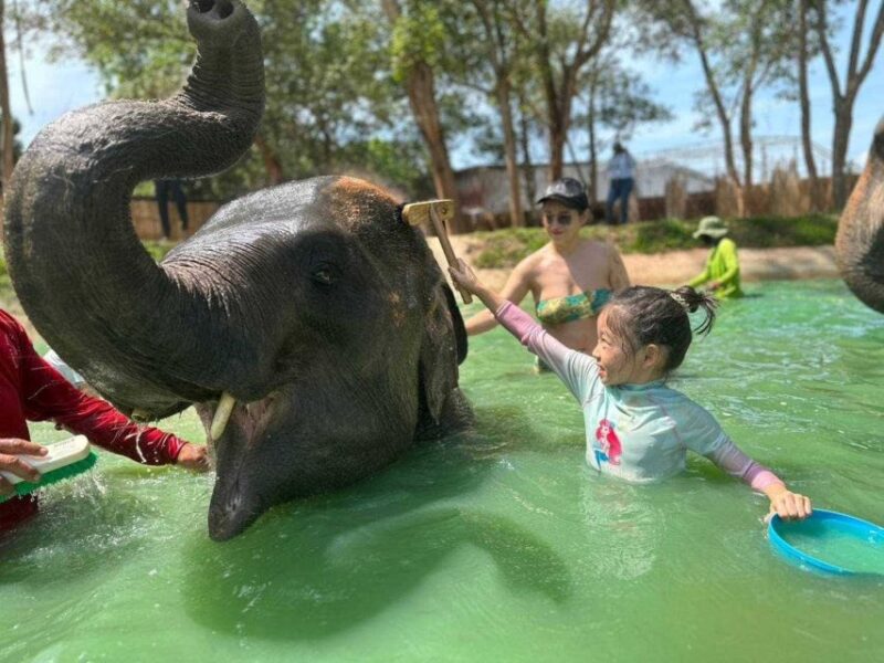 Phuket: Phuket Elephant Care Sanctuary ECO Tour - Customer Reviews and Ratings