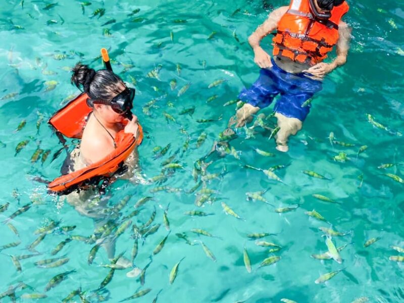 Phuket: Premium Day Trip to Phi Phi-Maya-Bamboo Island - Relaxing at Bamboo Island