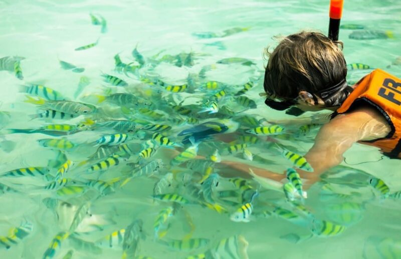 Phuket: Racha and Coral Island Tour by Luxury Yacht - Key Points