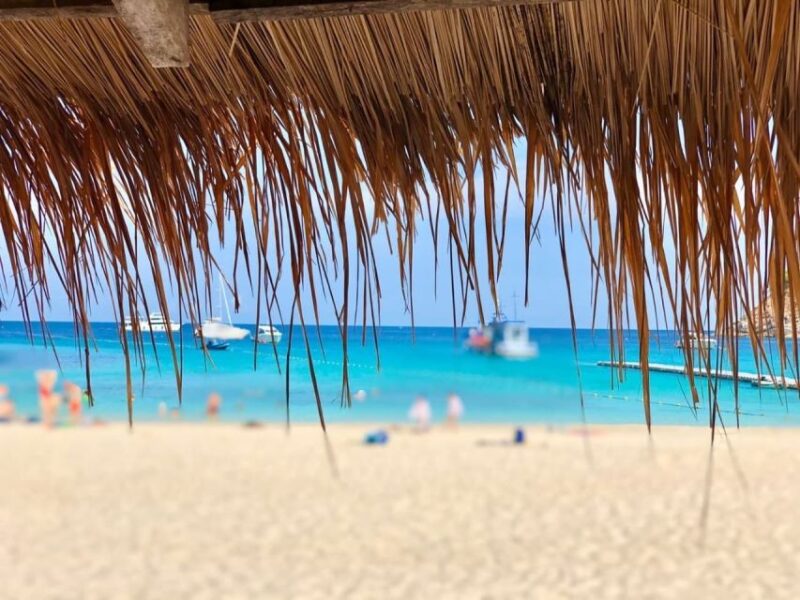 Phuket: Racha Island Snorkeling or Scuba Diving Tour - Pickup and Availability