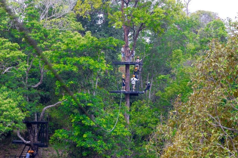 Phuket: Rainforest Eco Zipline Expedition - Treetop Thrills and Panoramic Views
