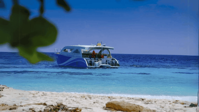 Phuket: Raya Island, Maithon Island, & Dolphin Spotting Tour - Snorkeling and Dolphin Watching