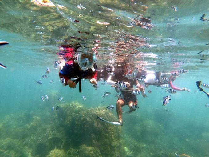 Phuket: Relaxed Phi Phi & Khai Islands Beach Snorkeling Tour - Tour Exclusions