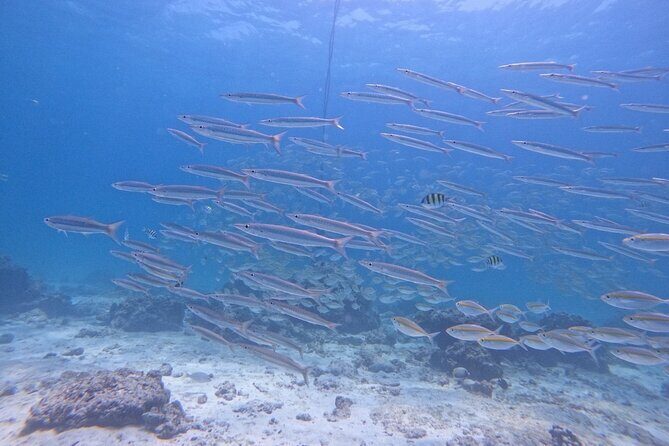 Phuket: Scuba Dive Racha and Coral Islands with Snorkeling Tour - An In-Depth Look at the Tour