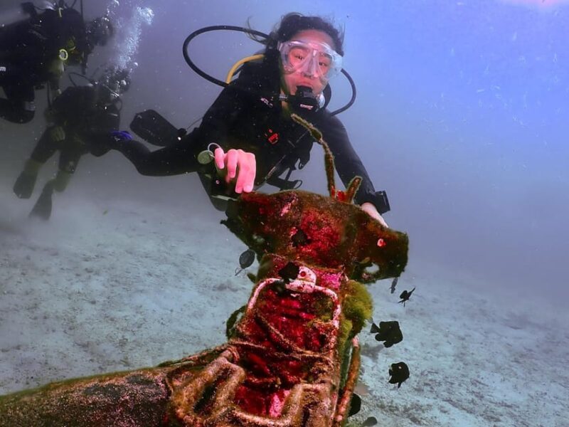 Phuket: SCUBA DIVING 3 Dive Day Trip Koh Phi Phi/Shark Point - Itinerary