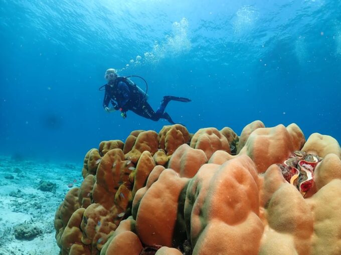 Phuket: SCUBA DIVING Day Trip Racha Yai/ Racha Noi 3 Dives - Frequently Asked Questions