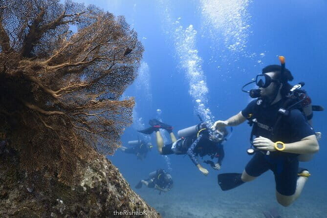Phuket Scuba Diving Phi Phi Islands (Certified Divers Only) - Final Verdict