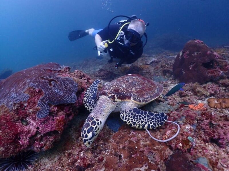Phuket: Scuba Diving With Seawave Diving Center - State-of-the-Art Diving Equipment