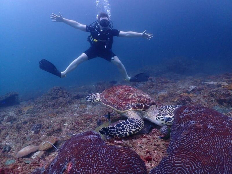 Phuket: Scuba Diving With Seawave Diving Center - Inclusions and Exclusions